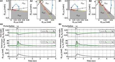 Long-Lasting Event-Related Beta Synchronizations of Electroencephalographic Activity in Response to Support-Surface Perturbations During Upright Stance: A Pilot Study Associating Beta Rebound and Active Monitoring in the Intermittent Postural Control